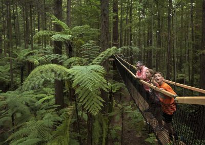 Guests stand on a suspension bridge on trees in the Treewalk