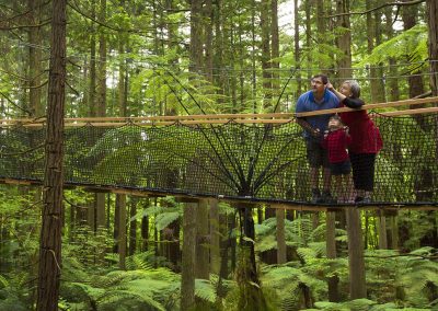 Guests stand on a suspension bridge in the forest