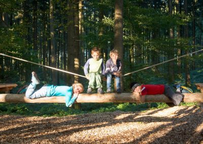 Children in a forest playground