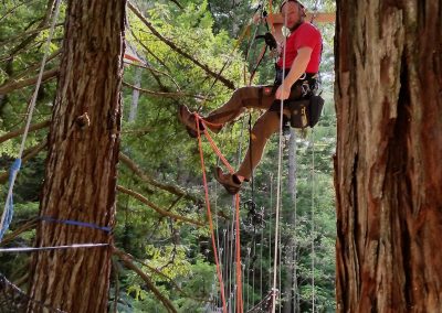 A rope climbing technician hangs in the rope during the construction of a treetop walkway