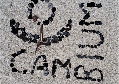 Cambium Logo aus Holzhole im Sand