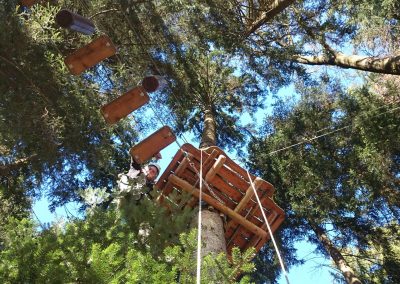 A platform with two climbing elements hangs from a tree in the climbing forest