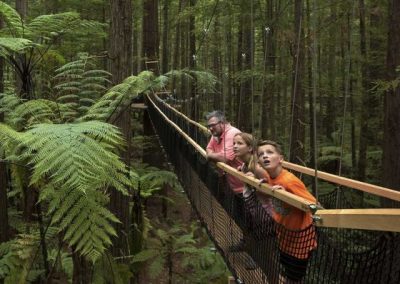 Children standing on a treewalk bridge