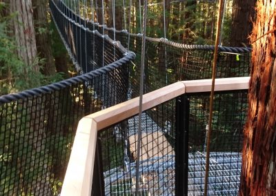 Platform and bridge of a treetop walk