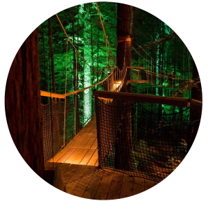 Beleuchtete Brücke eines Treewalks bei Nacht