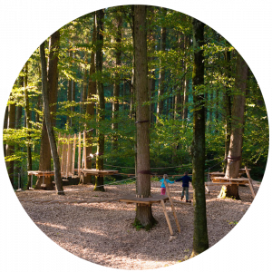 Ein Kinderparcours im Stil eines Kletterwaldes als Waldspielplatz