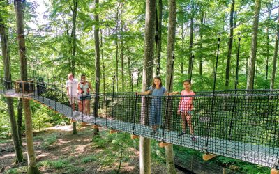 Treewalk Affenberg Salem