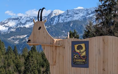 Referenzprojekt – Gamssteig am Buchenberg, Buching